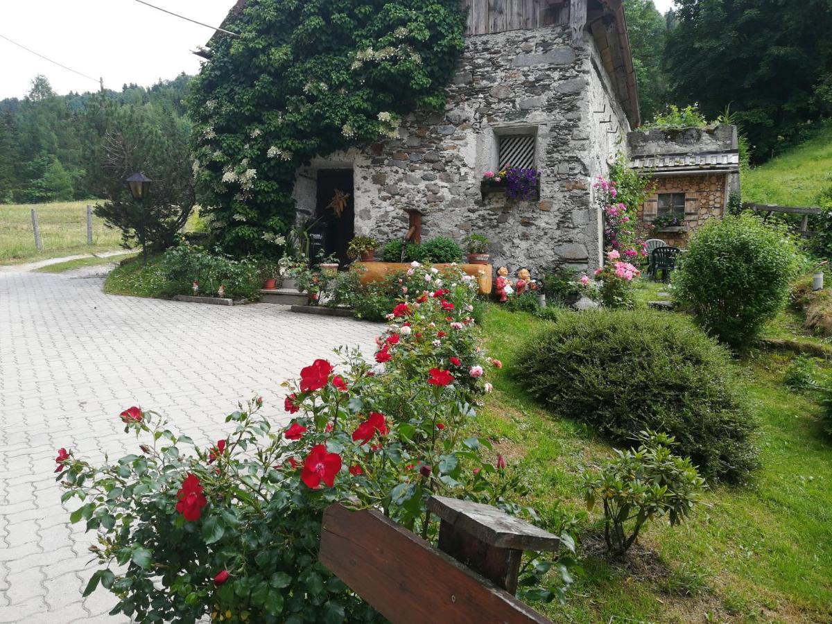 Bed and Breakfast Mühlnerhof Familie Gruber Aich  Exterior foto